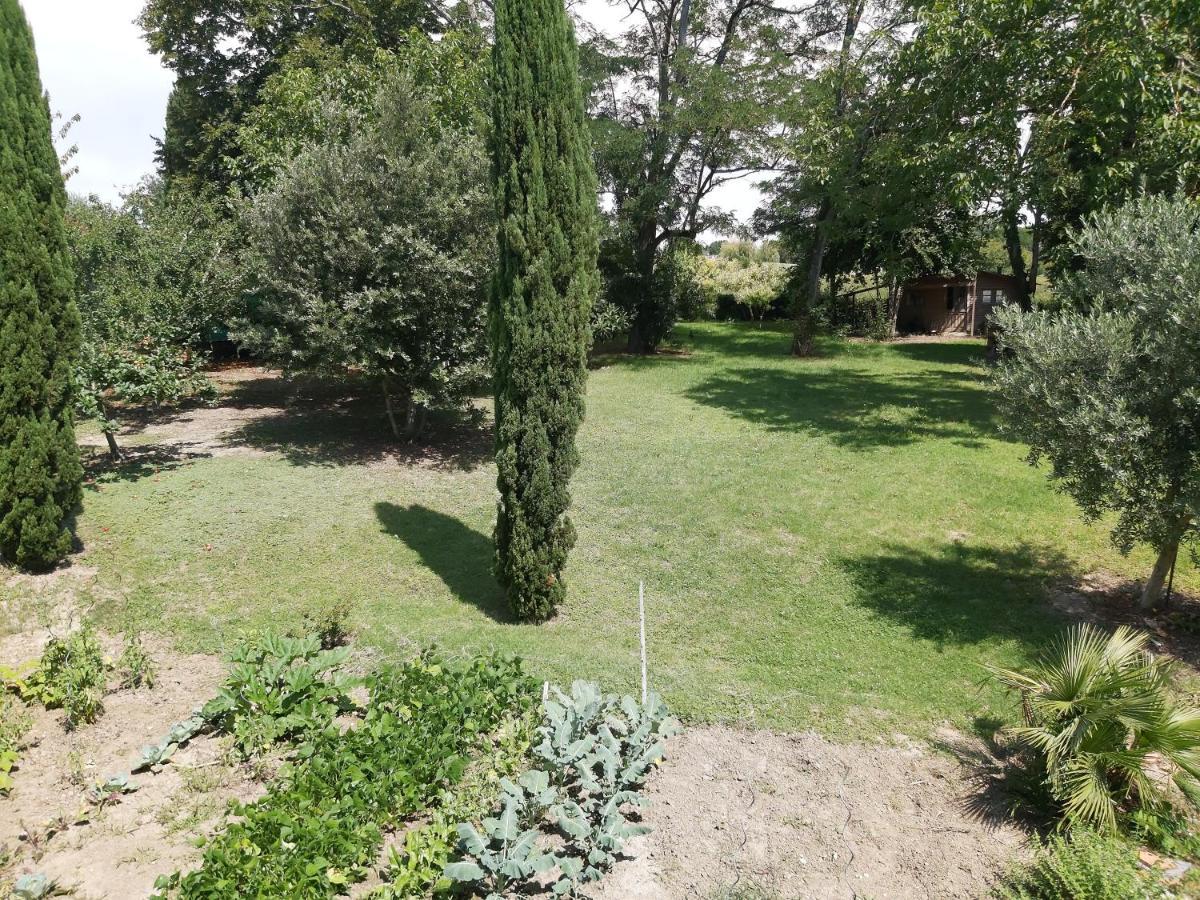 O Nature Cheris Mes Voeux Avant Qu'Ils S'Enfuient Francescas エクステリア 写真