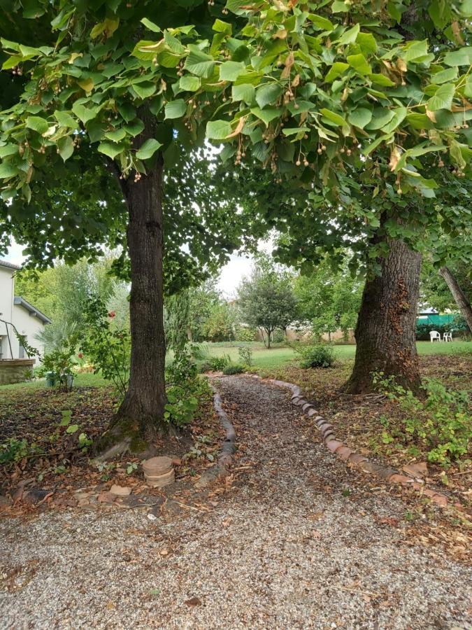 O Nature Cheris Mes Voeux Avant Qu'Ils S'Enfuient Francescas エクステリア 写真
